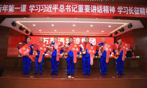 域名服务器万和通物流集团2022年度总结表彰大会